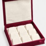 maroon earring box open with 9 compartments